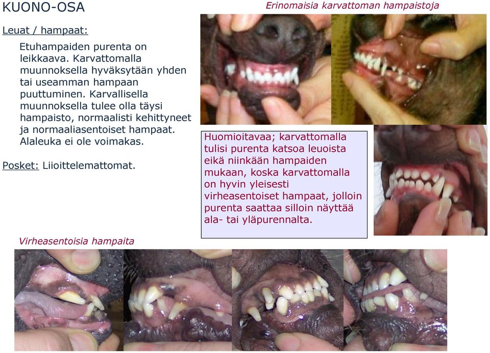 Posket: Liioittelemattomat.