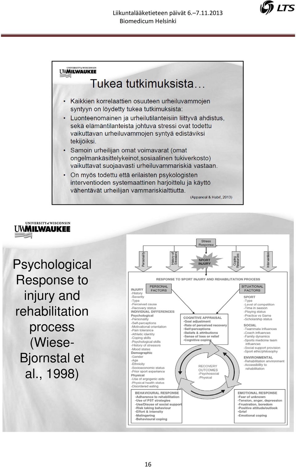 injury and rehabilitation