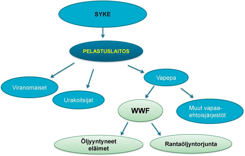 Urakoitsijat WWF Muut