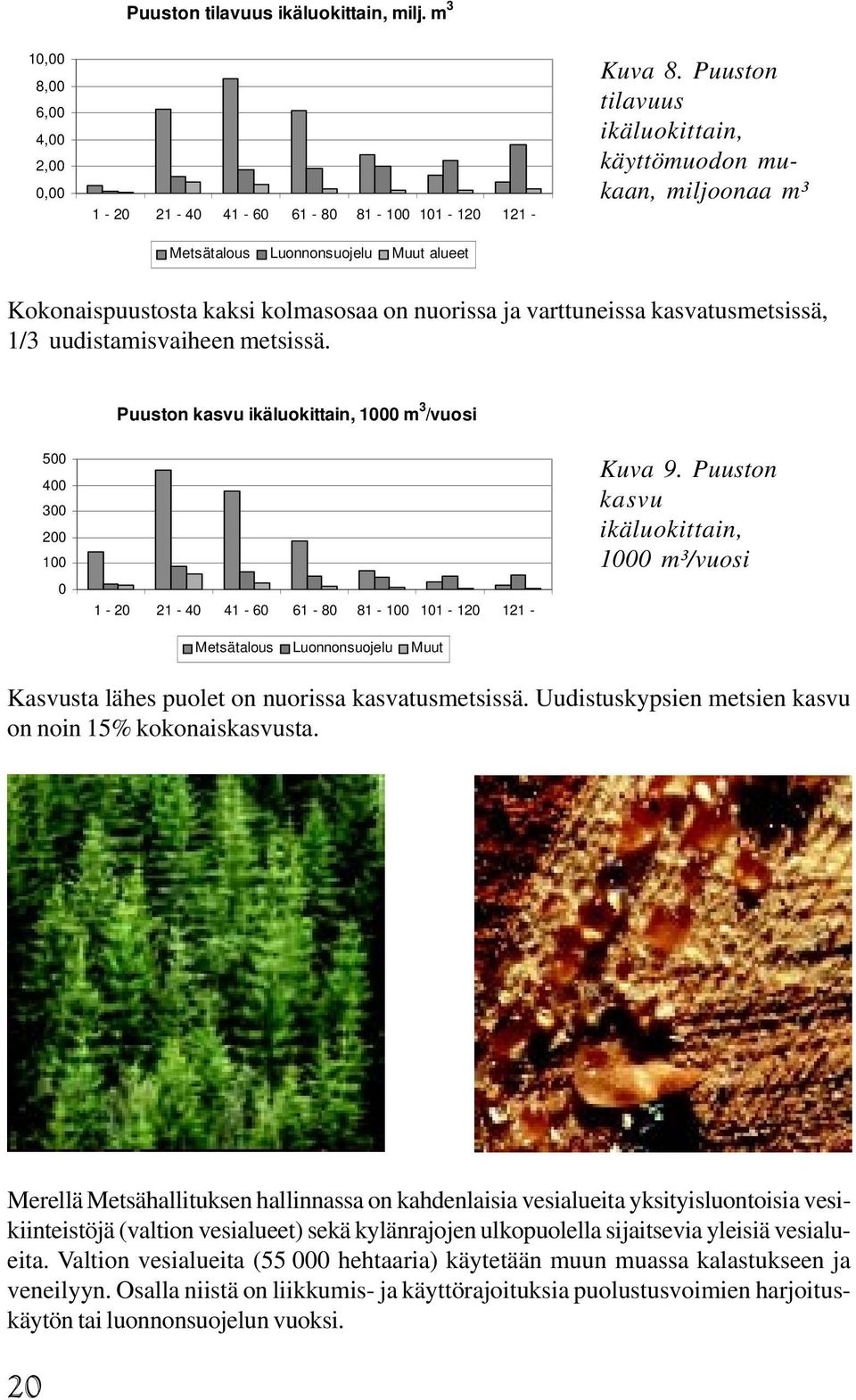 Puuston kasvu ikäluokittain, 1 m 3 /vuosi 5 4 3 2 1 1-2 21-4 41-6 61-8 81-1 11-12 121 - Metsätalous Luonnonsuojelu Muut Kuva 9.