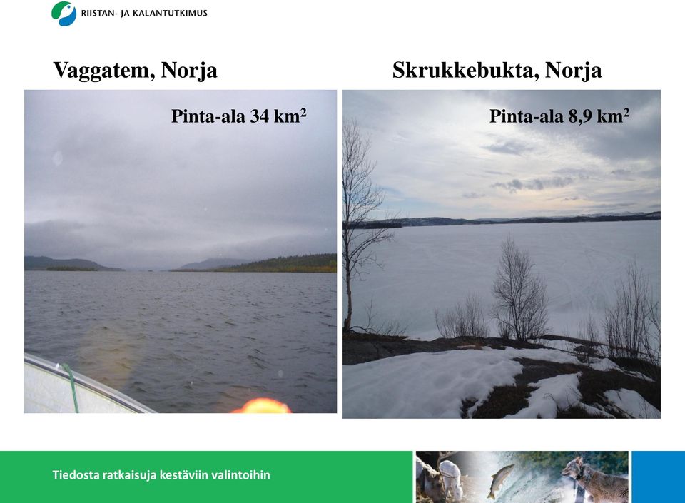 Norja Pinta-ala