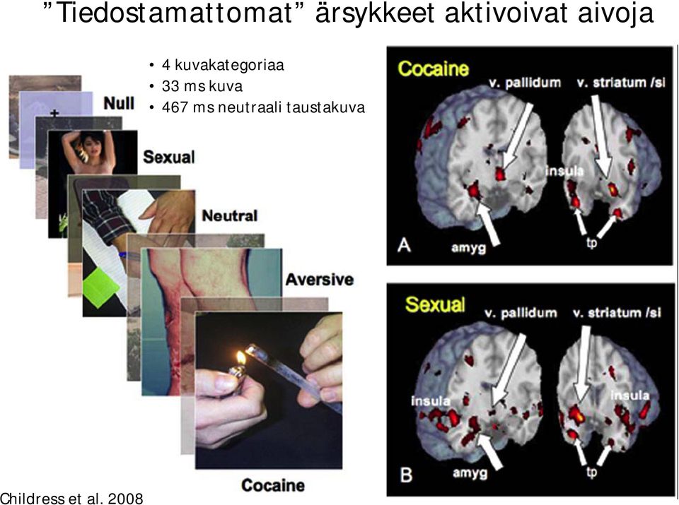 kuvakategoriaa 33 ms kuva 467