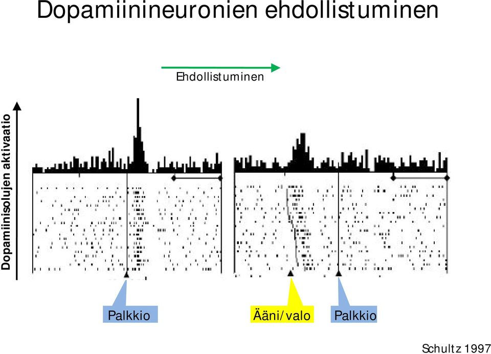 Ehdollistuminen