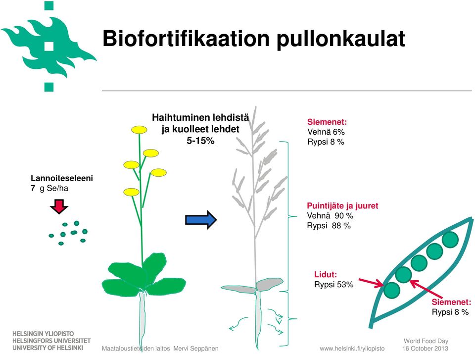 % Lannoiteseleeni 7 g Se/ha Puintijäte ja juuret