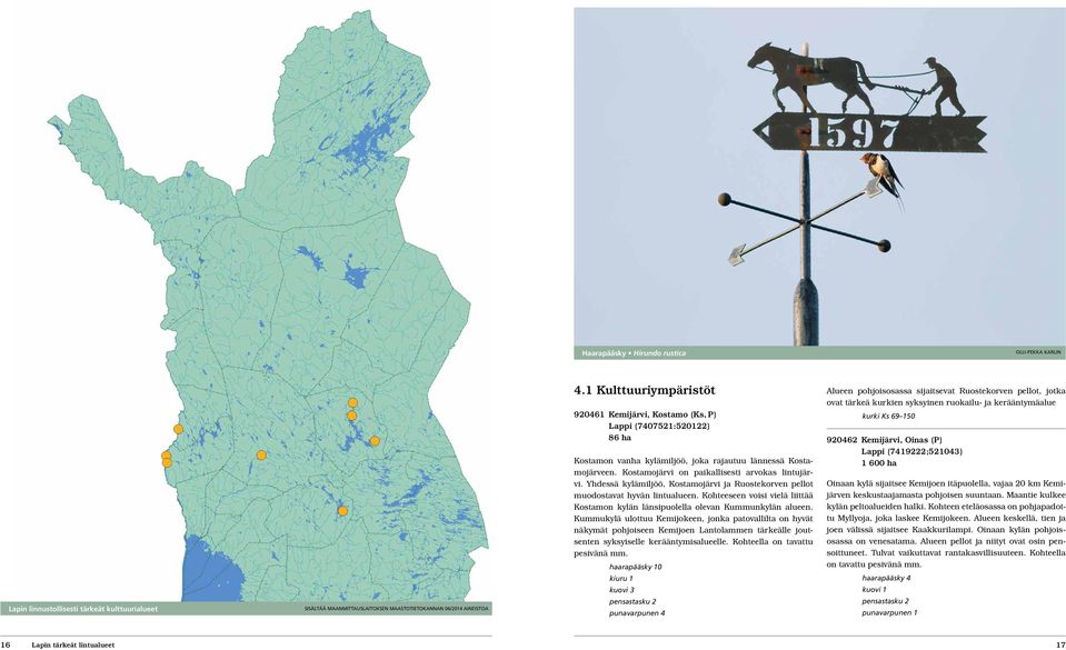 Yhdessä kylämiljöö, Kostamojärvi ja Ruostekorven pellot muodostavat hyvän lintualueen. Kohteeseen voisi vielä liittää Kostamon kylän länsipuolella olevan Kummunkylän alueen.