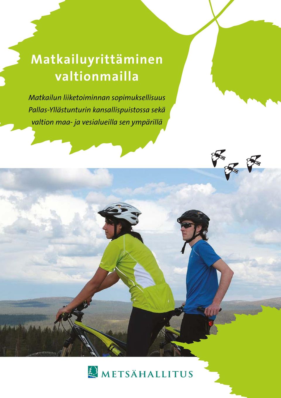 Pallas-Yllästunturin kansallispuistossa