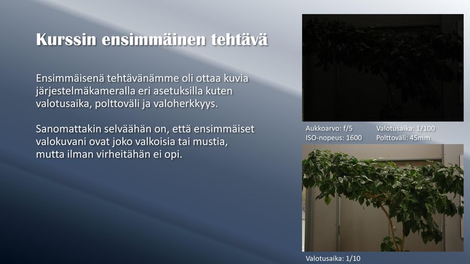 Sanomattakin selväähän on, että ensimmäiset valokuvani ovat joko valkoisia tai mustia,