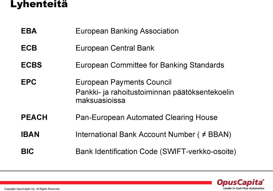 Pankki- ja rahoitustoiminnan päätöksentekoelin maksuasioissa Pan-European Automated