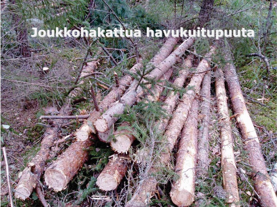 Kärhä: tuhoa Integroituna korjuun energiapuun Kärhä,