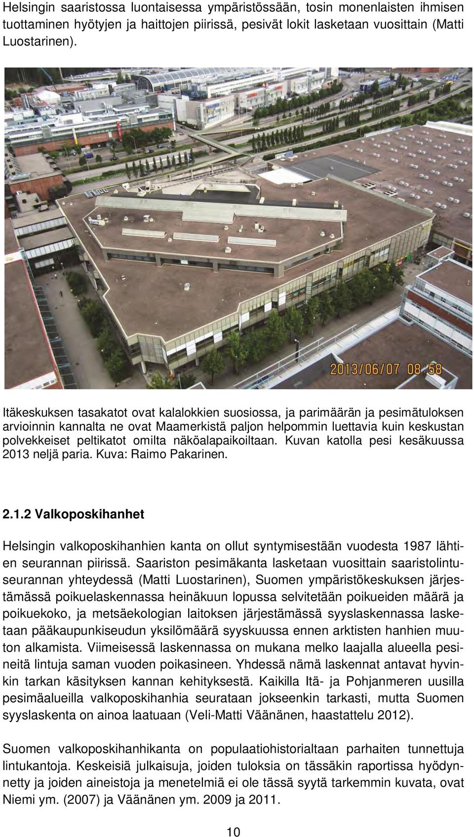 näköalapaikoiltaan. Kuvan katolla pesi kesäkuussa 213 neljä paria. Kuva: Raimo Pakarinen. 2.1.2 Valkoposkihanhet Helsingin valkoposkihanhien kanta on ollut syntymisestään vuodesta 1987 lähtien seurannan piirissä.