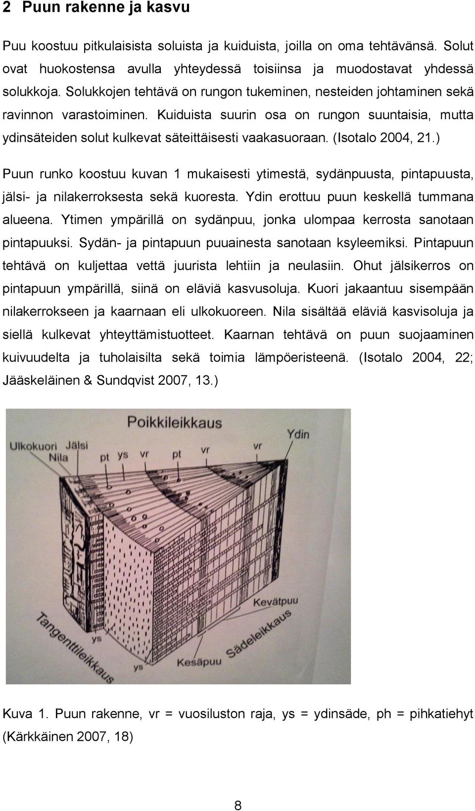 (Isotalo 2004, 21.) Puun runko koostuu kuvan 1 mukaisesti ytimestä, sydänpuusta, pintapuusta, jälsi- ja nilakerroksesta sekä kuoresta. Ydin erottuu puun keskellä tummana alueena.