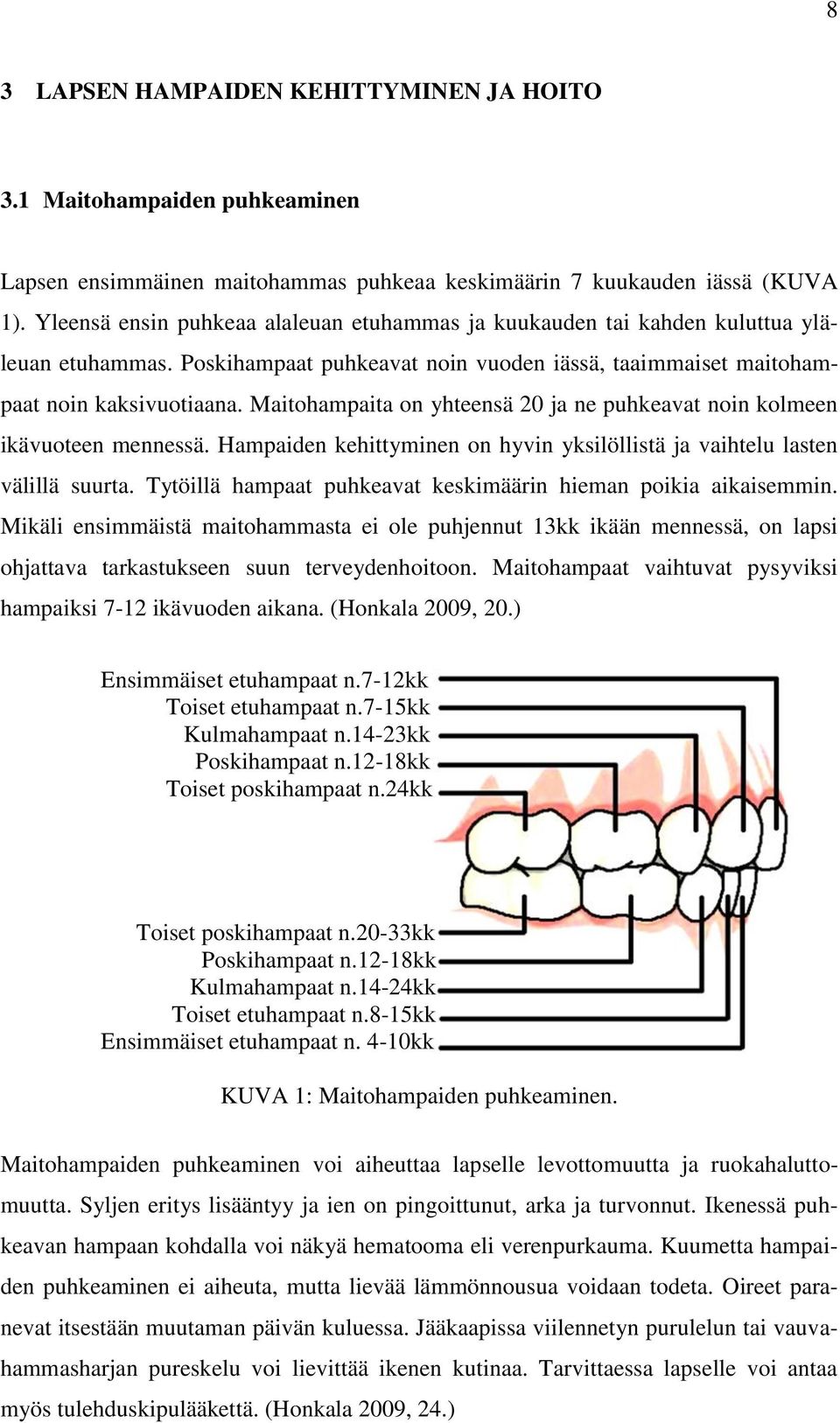 Maitohampaita on yhteensä 20 ja ne puhkeavat noin kolmeen ikävuoteen mennessä. Hampaiden kehittyminen on hyvin yksilöllistä ja vaihtelu lasten välillä suurta.