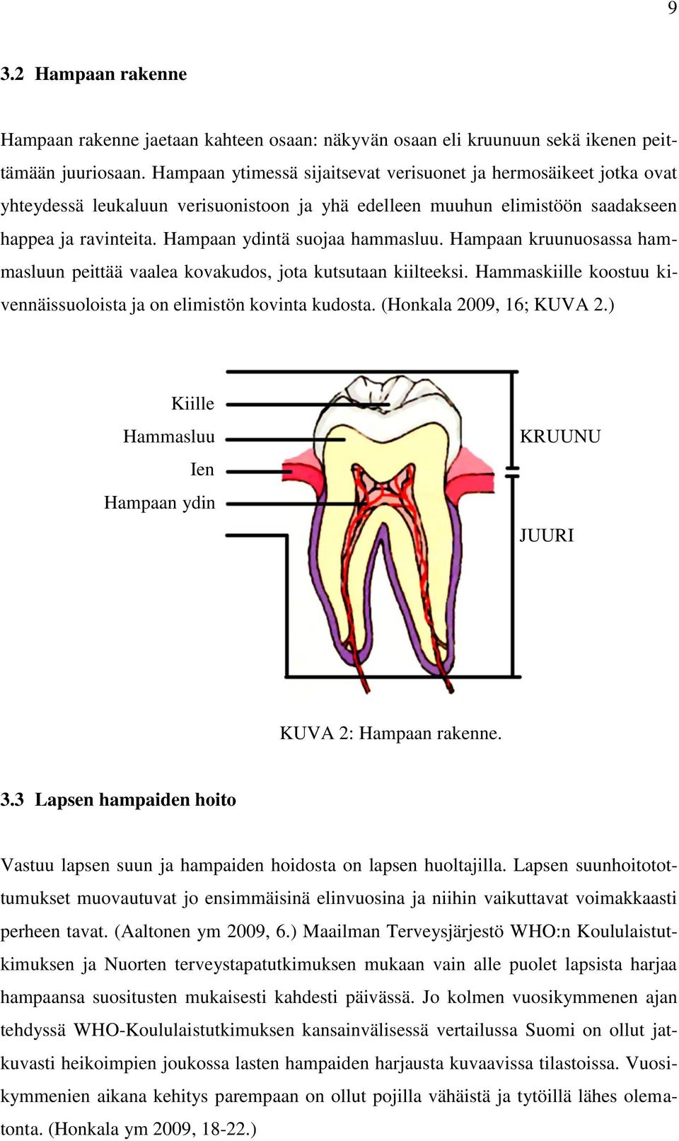Hampaan ydintä suojaa hammasluu. Hampaan kruunuosassa hammasluun peittää vaalea kovakudos, jota kutsutaan kiilteeksi. Hammaskiille koostuu kivennäissuoloista ja on elimistön kovinta kudosta.