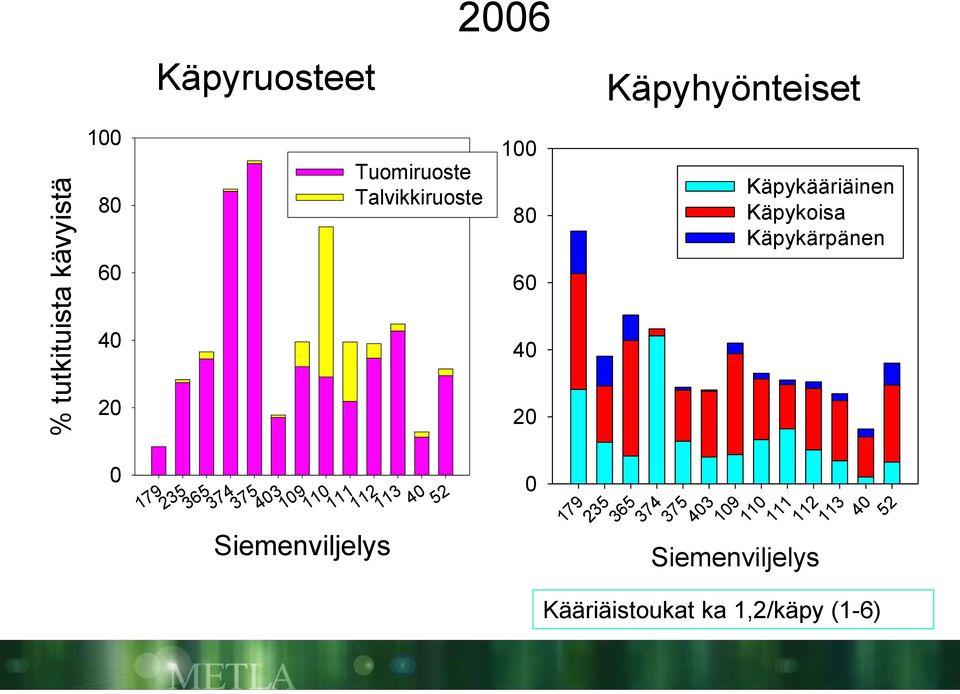 Käpyhyönteiset 179 235 365 374 375 Käpykääriäinen Käpykoisa Käpykärpänen