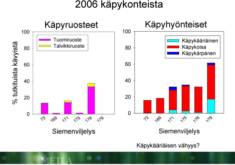 Käpykääriäinen Käpykoisa Käpykärpänen 73 169 171 175 176 179