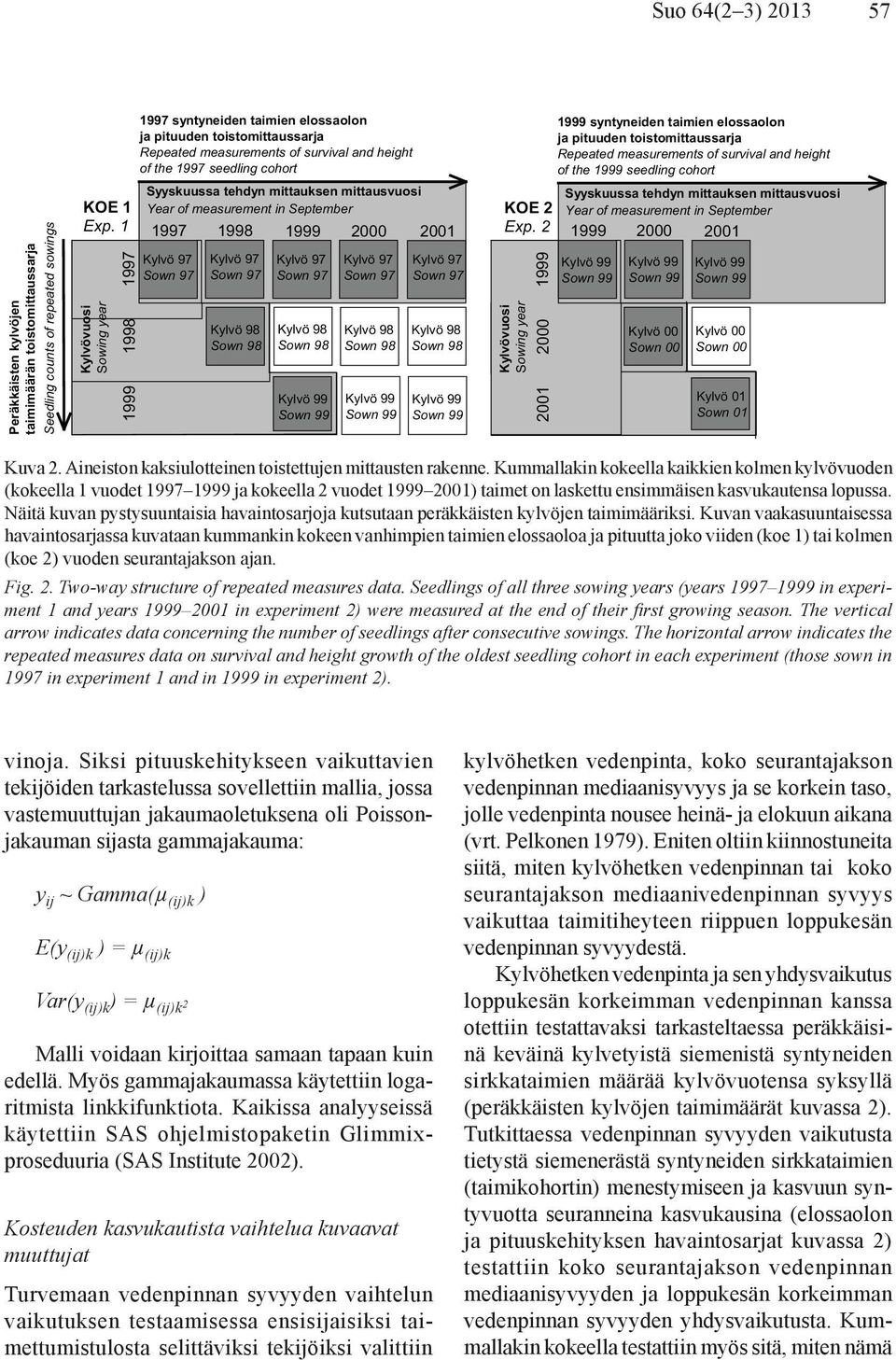 2 1999 1 Kylvövuosi Sowing year 1997 1998 1999 1997 syntyneiden taimien elossaolon ja pituuden toistomittaussarja Repeated measurements of survival and height of the 1997 seedling cohort Kylvö 97