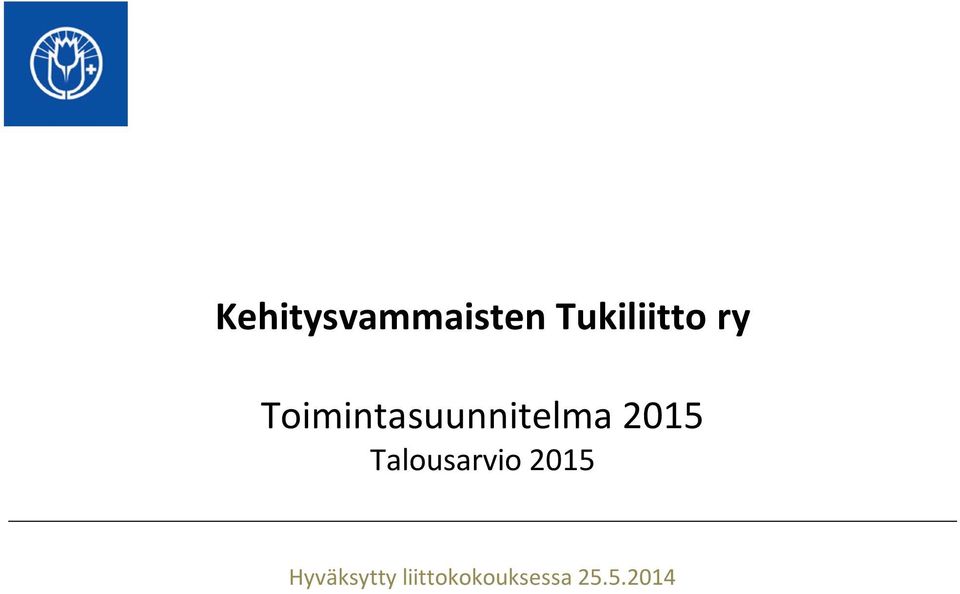 Toimintasuunnitelma 2015