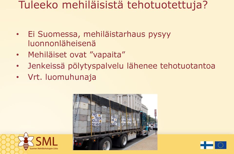 luonnonläheisenä Mehiläiset ovat vapaita