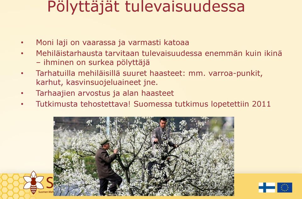 mehiläisillä suuret haasteet: mm. varroa-punkit, karhut, kasvinsuojeluaineet jne.