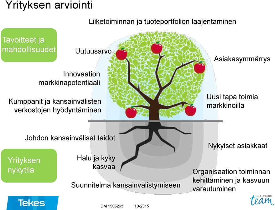 hyödyntäminen Uusi tapa toimia markkinoilla Yrityksen nykytila Johdon kansainväliset taidot Halu ja kyky