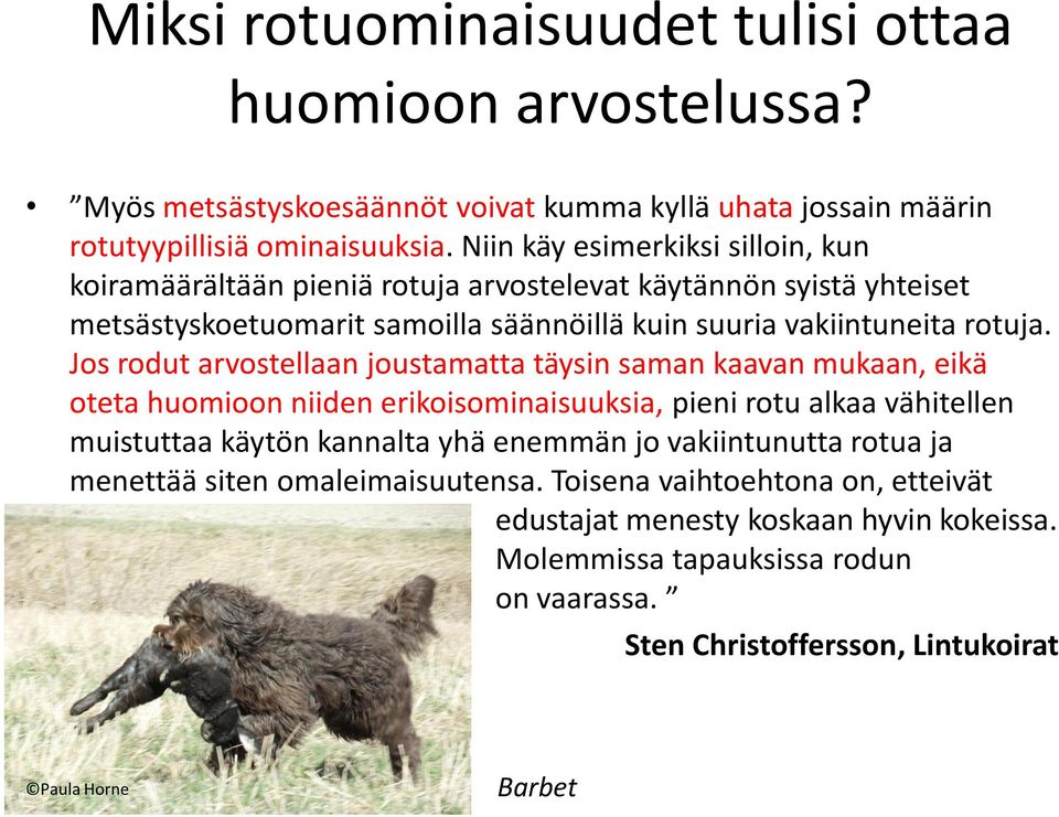 Jos rodut arvostellaan joustamatta täysin saman kaavan mukaan, eikä oteta huomioon niiden erikoisominaisuuksia, pieni rotu alkaa vähitellen muistuttaa käytön kannalta yhä enemmän jo