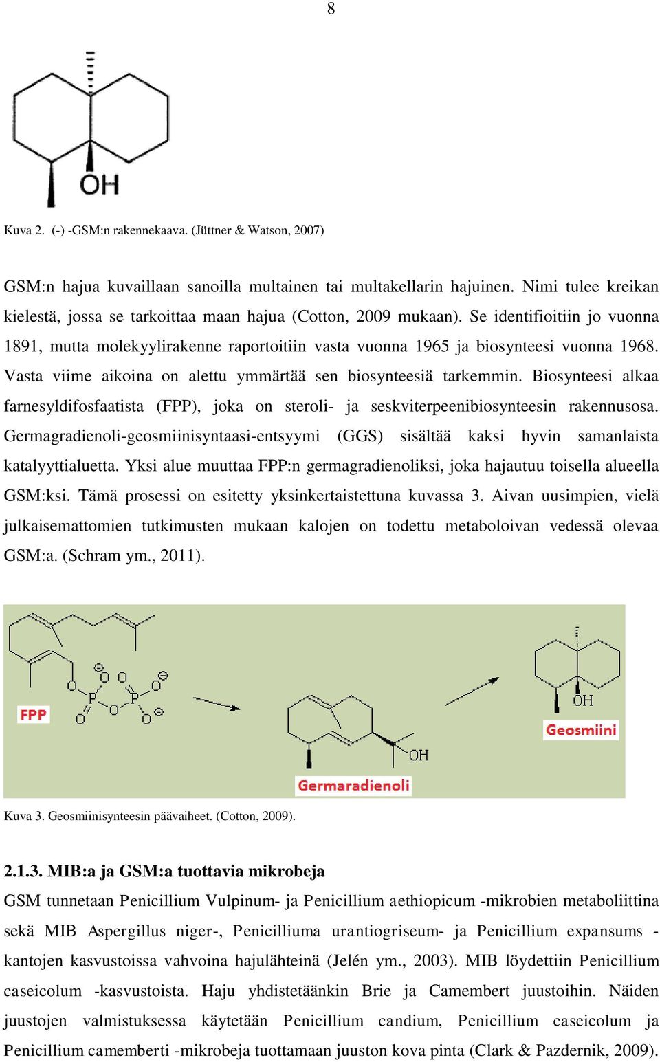 Vasta viime aikoina on alettu ymmärtää sen biosynteesiä tarkemmin. Biosynteesi alkaa farnesyldifosfaatista (FPP), joka on steroli- ja seskviterpeenibiosynteesin rakennusosa.