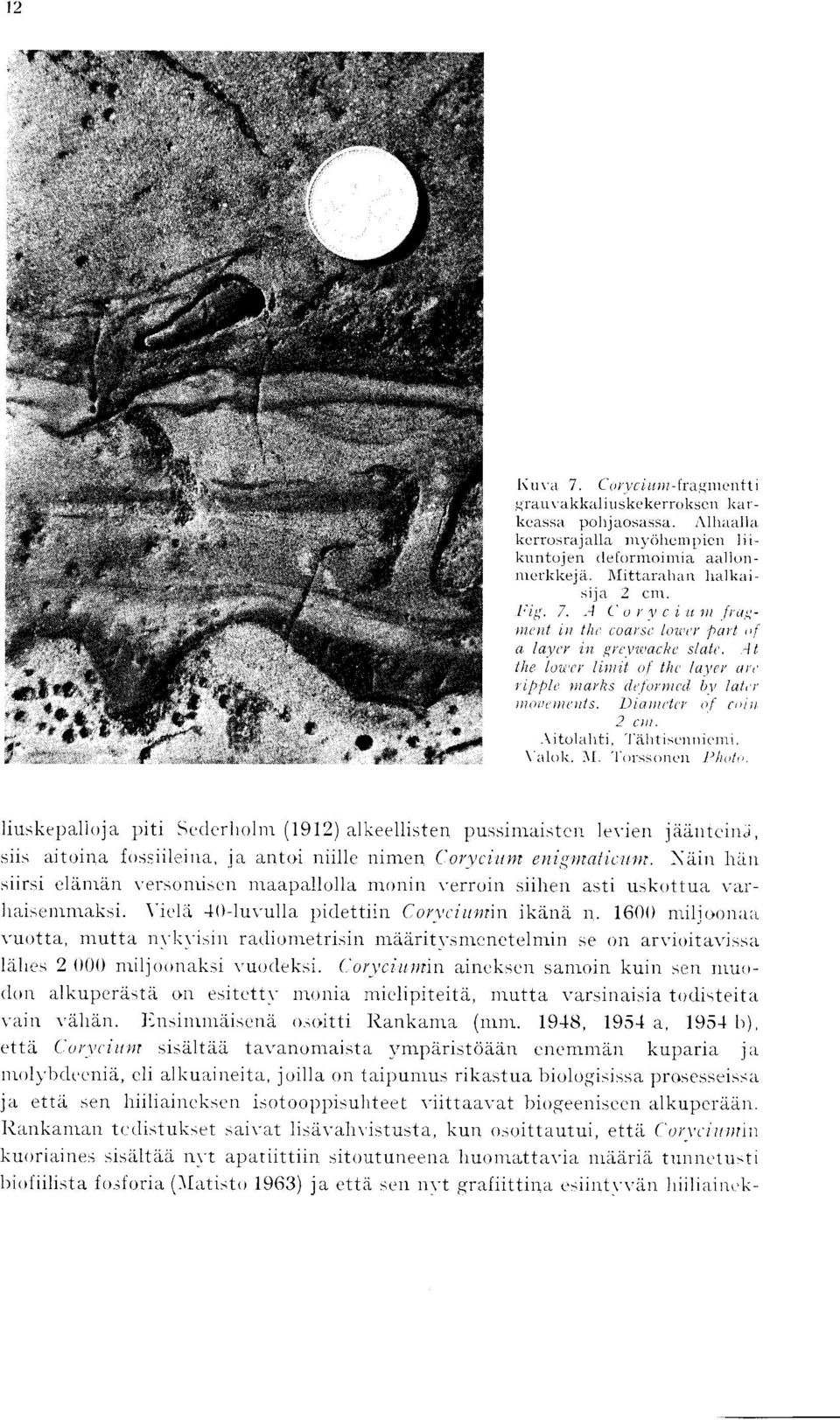 .vitolahti, "I ahtisennicmi V'alok. M. "horssoncn Phol".