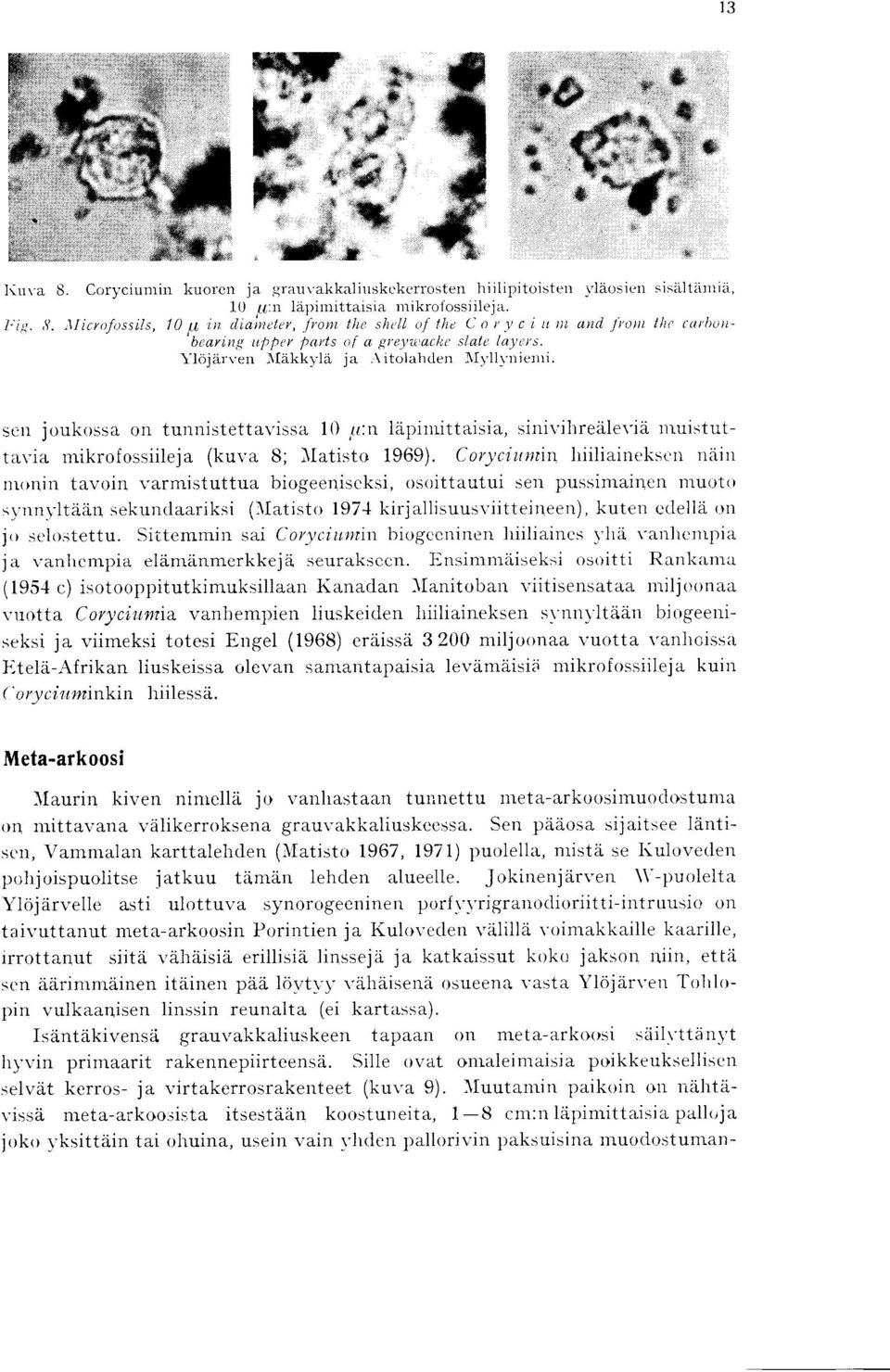 sen joukossa on tunnistettavissa 10 tt :n lapimittaisia, sinivihrealevia muistuttavia mikrofossiileja (kuva 8 ; Matisto 1969).