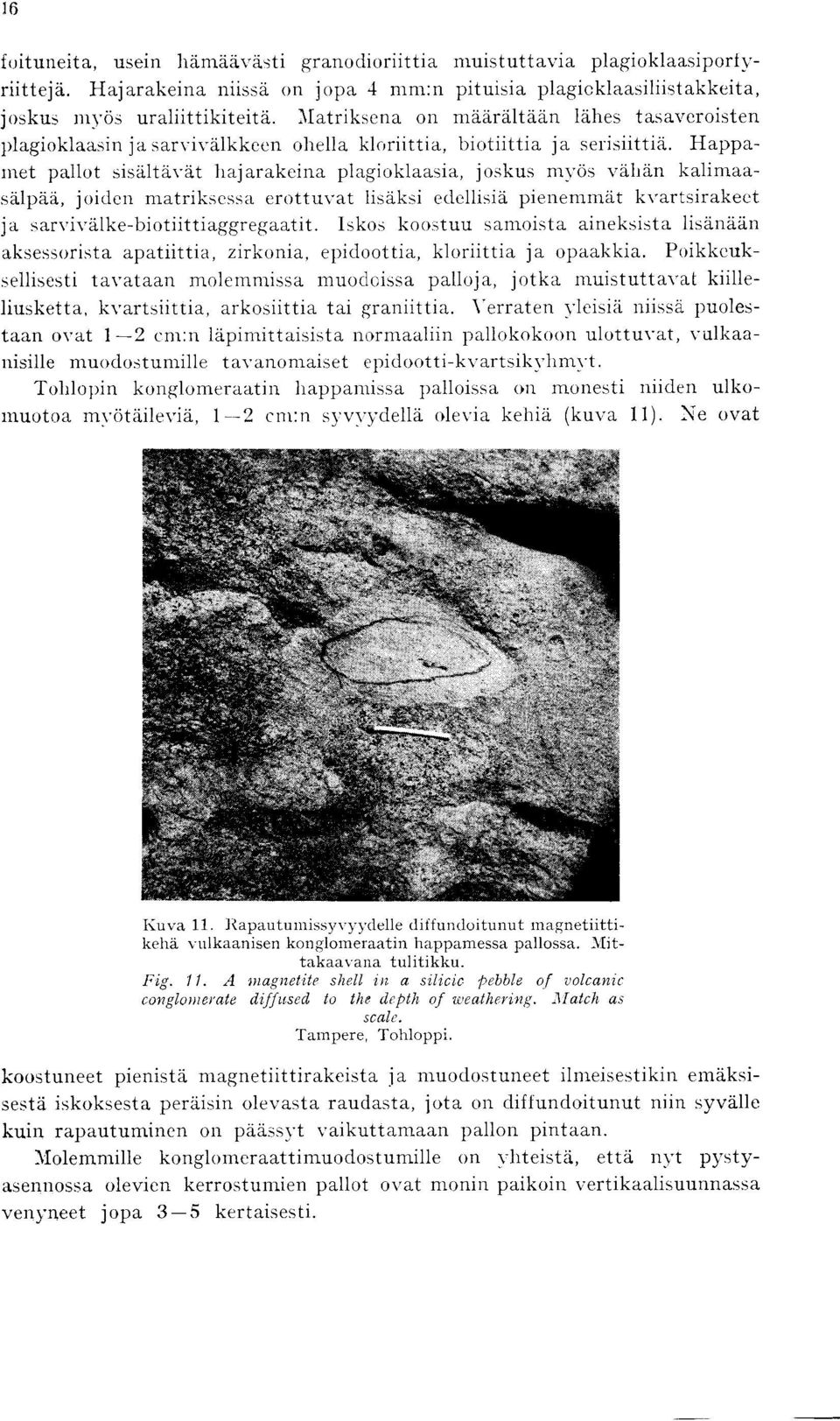Happamet pallot sisaltavat hajarakeina plagioklaasia, joskus moos vahan kalimaasalpaa, joiden matriksessa erottuvat lisaksi edellisia pienemmat kvartsirakeet ja sarvivalke-biotiittiaggregaatit.