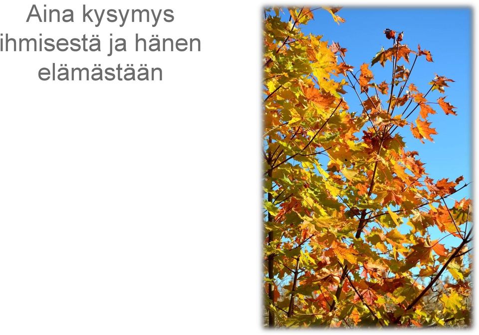 ihmisestä