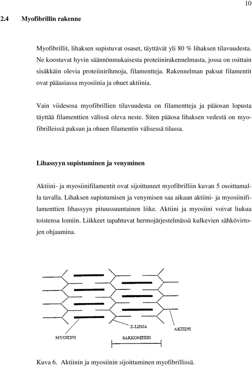 Rakennelman paksut filamentit ovat pääasiassa myosiinia ja ohuet aktiinia. Vain viidesosa myofibrillien tilavuudesta on filamentteja ja pääosan lopusta täyttää filamenttien välissä oleva neste.