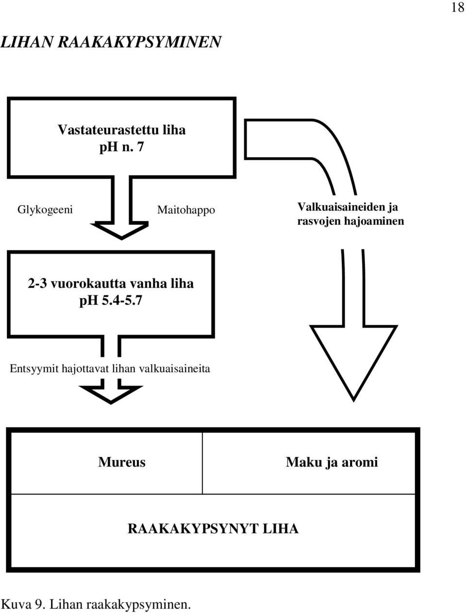 2-3 vuorokautta vanha liha ph 5.4-5.