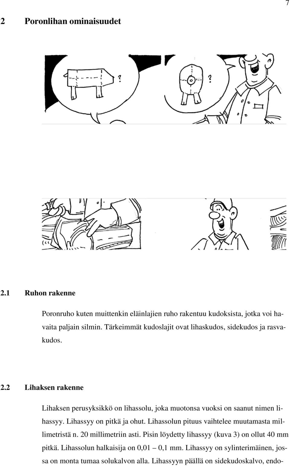 2 Lihaksen rakenne Lihaksen perusyksikkö on lihassolu, joka muotonsa vuoksi on saanut nimen lihassyy. Lihassyy on pitkä ja ohut.