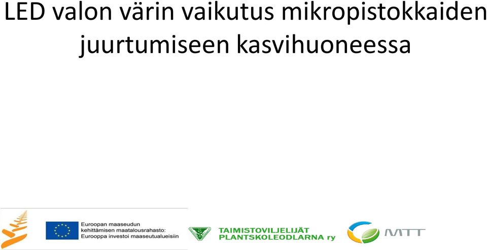 mikropistokkaiden