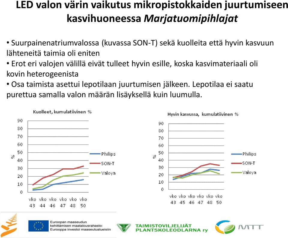 Erot eri valojen välillä eivät tulleet hyvin esille, koska kasvimateriaali oli kovin heterogeenista Osa