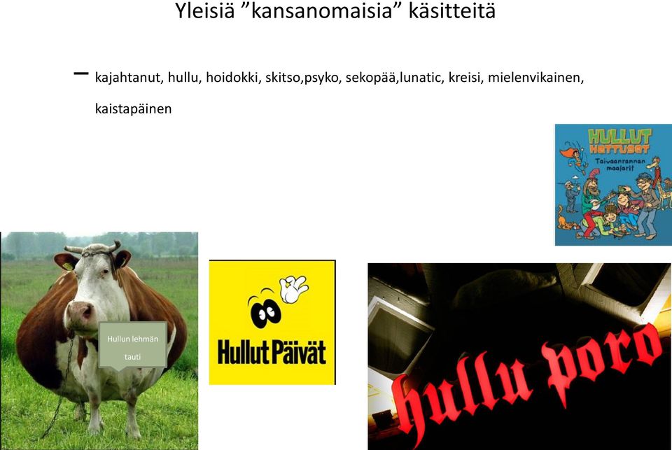 skitso,psyko, sekopää,lunatic,