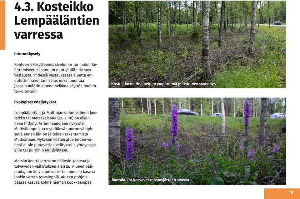 Kostei kko on ti ealu ei d en ym p äröi m ä p u u st