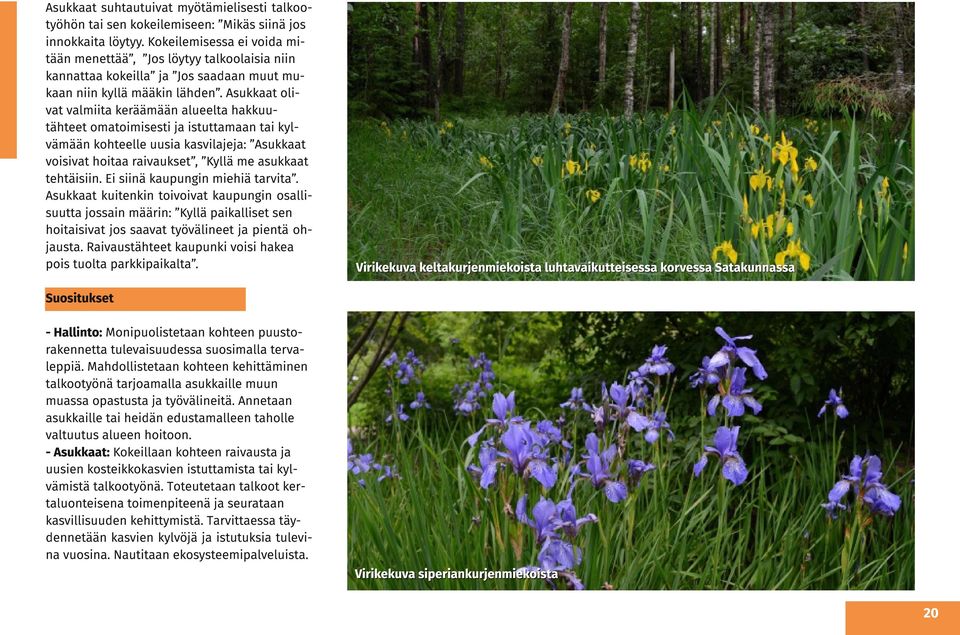 Asukkaat olivat valmiita keräämään alueelta hakkuutähteet omatoimisesti ja istuttamaan tai kylvämään kohteelle uusia kasvilajeja: Asukkaat voisivat hoitaa raivaukset, Kyllä me asukkaat tehtäisiin.