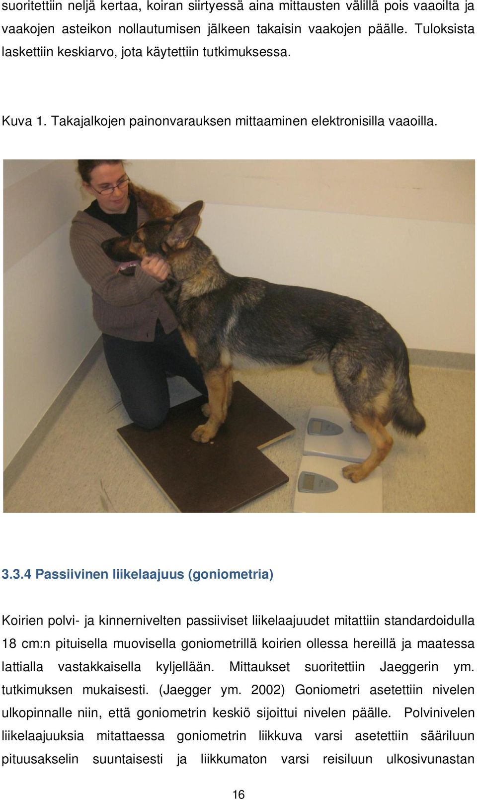 3.4 Passiivinen liikelaajuus (goniometria) Koirien polvi- ja kinnernivelten passiiviset liikelaajuudet mitattiin standardoidulla 18 cm:n pituisella muovisella goniometrillä koirien ollessa hereillä
