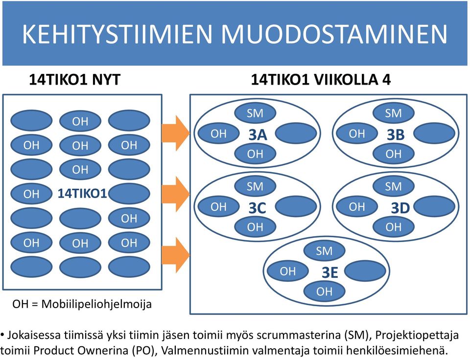 yksi tiimin jäsen toimii myös scrummasterina (SM), Projektiopettaja