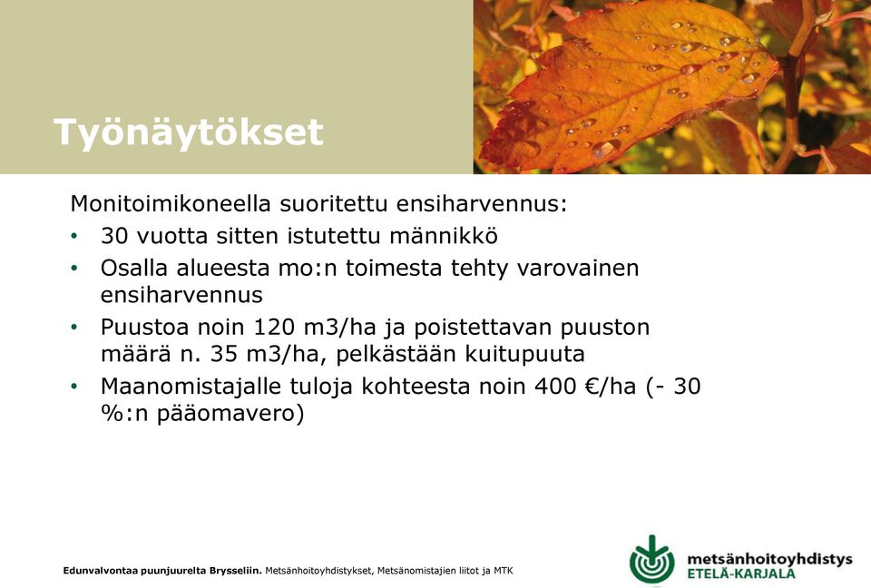 ensiharvennus Puustoa noin 120 m3/ha ja poistettavan puuston määrä n.