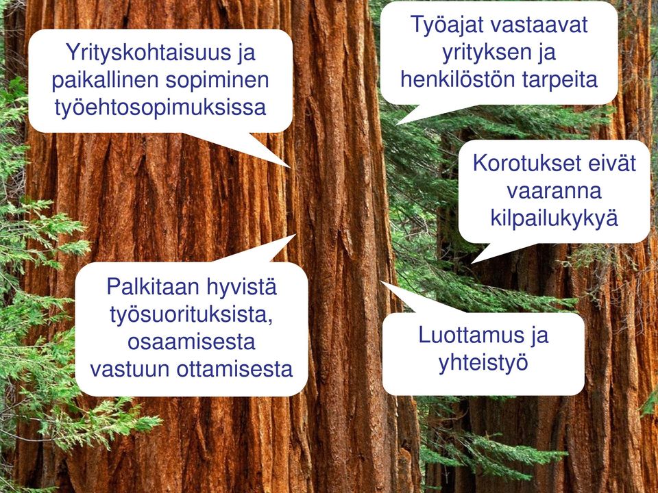 Korotukset eivät vaaranna kilpailukykyä Palkitaan hyvistä