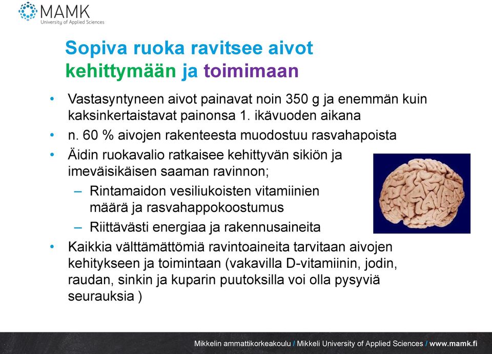 60 % aivojen rakenteesta muodostuu rasvahapoista Äidin ruokavalio ratkaisee kehittyvän sikiön ja imeväisikäisen saaman ravinnon; Rintamaidon