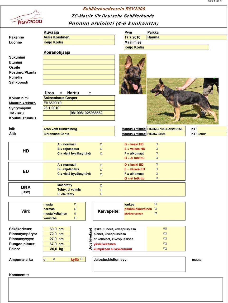 .200 980980298862 Schäferhundverein RSV2000 ZG-Matrix für Deutsche Schäferhunde Pennun arviointi (4-6 kuukautta) Bilder Isä: Aron vom Buntzelberg Maatun.