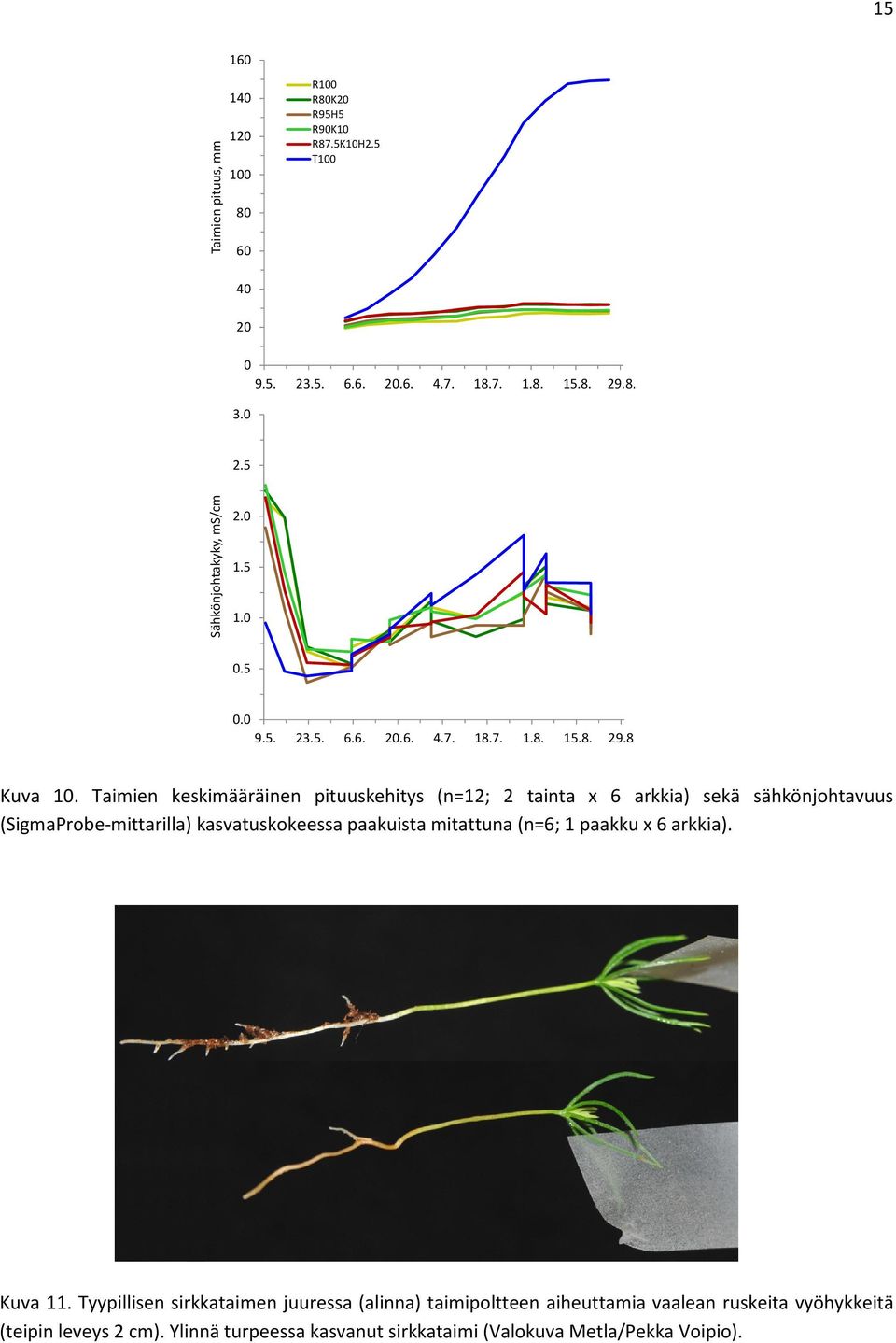 Taimien keskimääräinen pituuskehitys (n=12; 2 tainta x 6 arkkia) sekä sähkönjohtavuus (SigmaProbe-mittarilla) kasvatuskokeessa paakuista mitattuna
