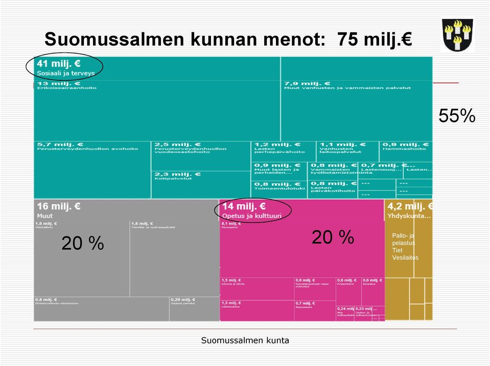 55% 20 % 20 %