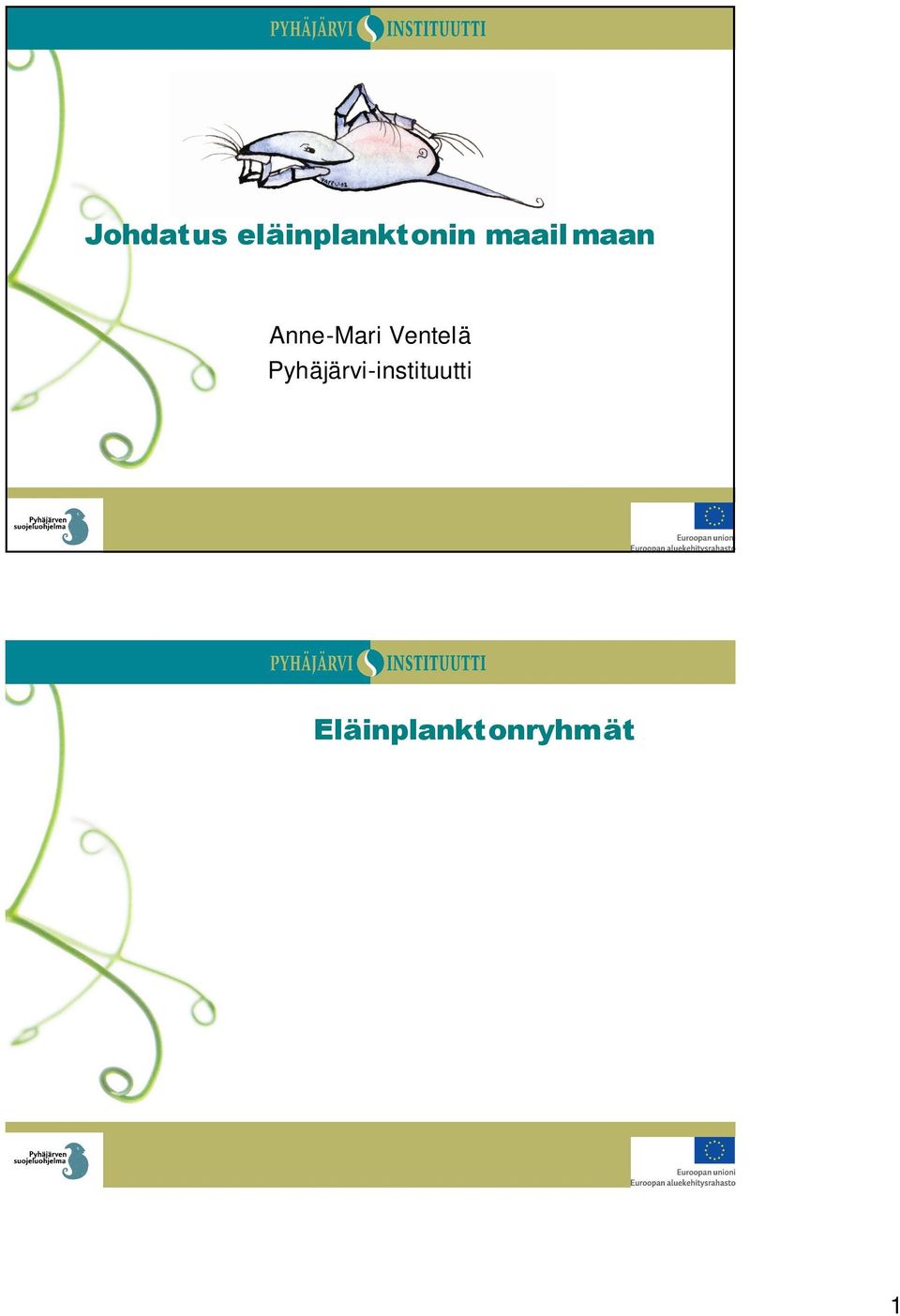 Äyriäiseläinplankton Vesikirput (Cladocera) Hankajalkaisäyriäiset (Copepoda)