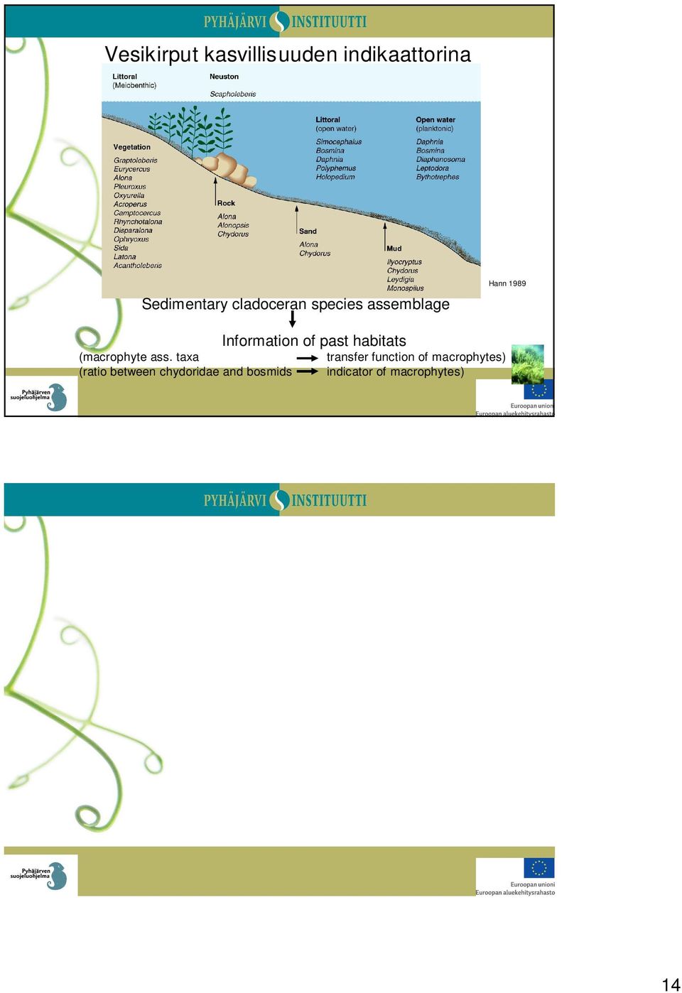 taa transfer function of macrophytes) (ratio between chydoridae and bosmids indicator of