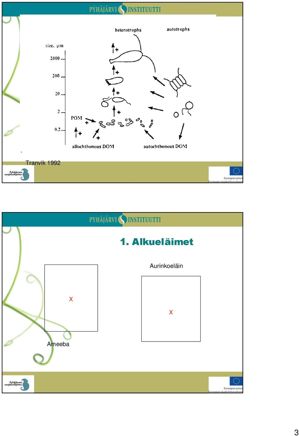 Alkueläimet