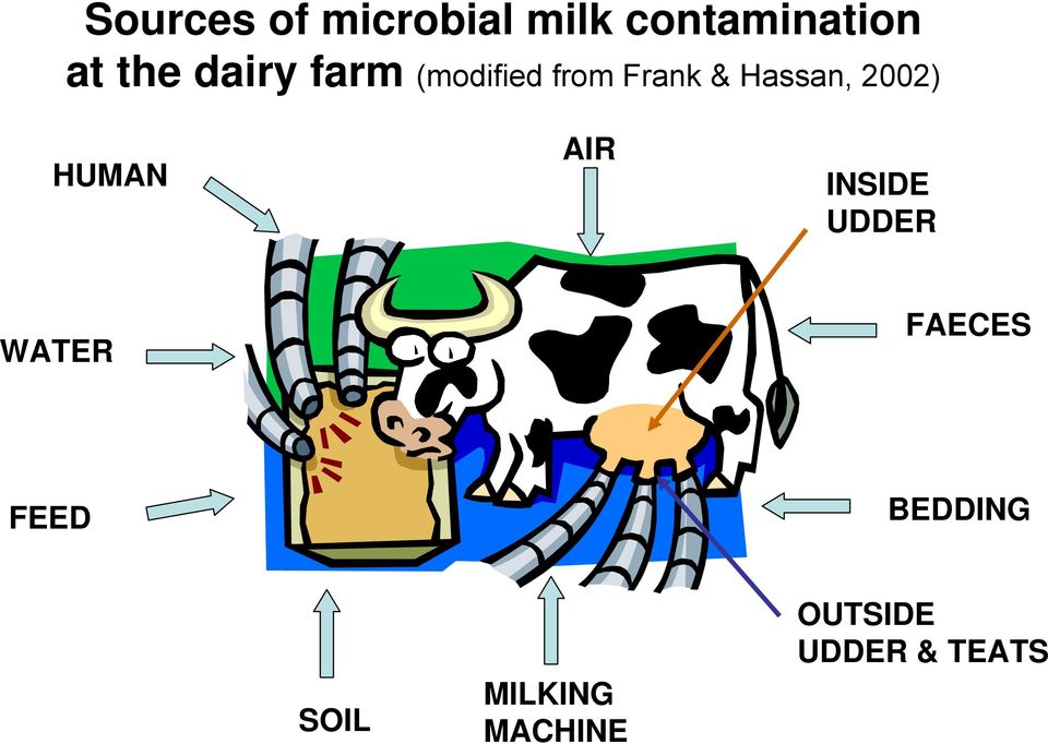 2002) HUMAN AIR INSIDE UDDER WATER FAECES FEED